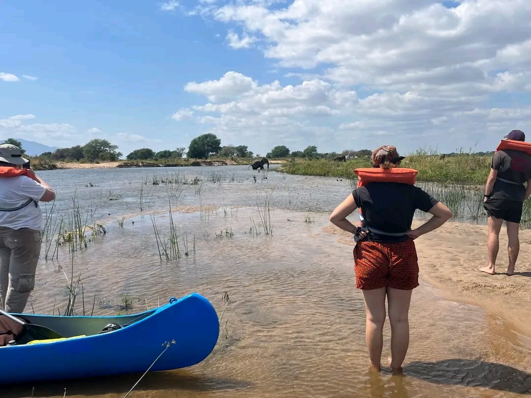 Guests on a sandbank beside the canoe watching elephants across the river